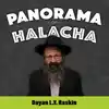 Panorama of Halacha