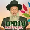 הרב יגאל כהן ענפים