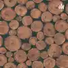 Lumberjacks Interesting Info