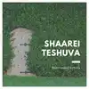 Beachwood Kehilla Shaarei Teshuva