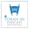 TORAH 101 - With Rabbi Yaakov Wolbe