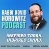 Rabbi Dovid Horowitz Podcast