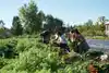 The Market Gardener