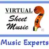 VSM: Music Experts