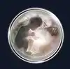 Microbirth