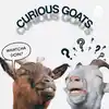 Curious Goats