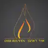 Parsha Shiurim from the Yeshiva of Rabbi Bezalel Rudinsky