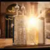 The Light by Rav Dovid Hekmatjah Braum