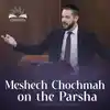 Meshech Chochmah on the Parsha