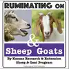 Ruminating on Sheep and Goats by Dr. Crane