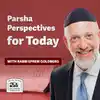 Parsha Perspectives