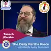 The Daily Parsha Piece with Rabbi Leiby Burnham