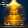 Shabbos Malkesa - Appreciate and Enjoy Shabbos