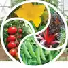 Sustainable Market Farming