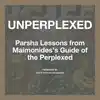Unperplexed: Parsha Lessons from Maimonides's Guide of the Perplexed