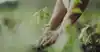 Farmer's Footprint | Farmer’s Footprint