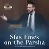 S'fas Emes on the Parsha