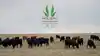 Holistic Management International | HMI