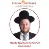 Rabbi Nachum Schiener Shiurim