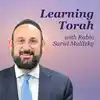 Learning Torah with Rabbi Sariel Malitzky