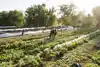 National Young Farmers Coalition