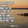 In G-d’s Army There’s Only Truth